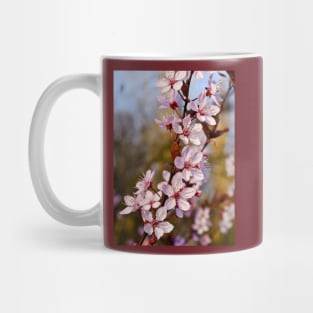 Almond Blossoms in Spring Mug